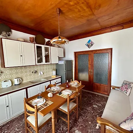 Bluesunnyparadise Glossa